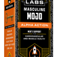 Alpha Action | Masculine Mojo